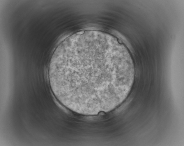 X0000111151433200908111125