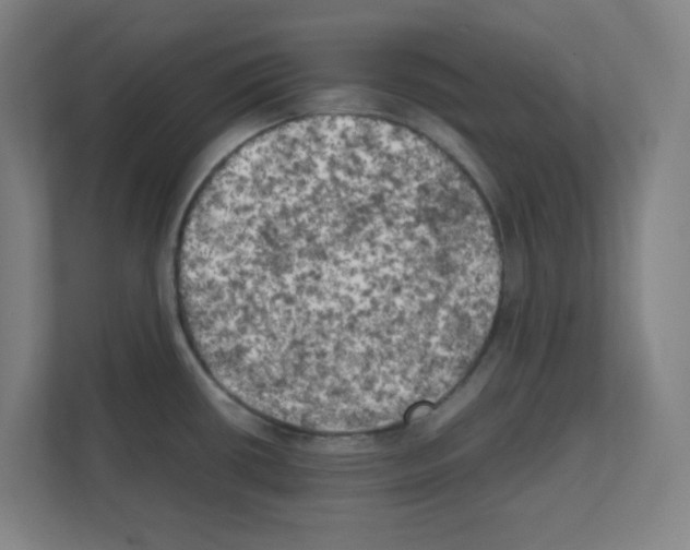 X0000111151434200908111125