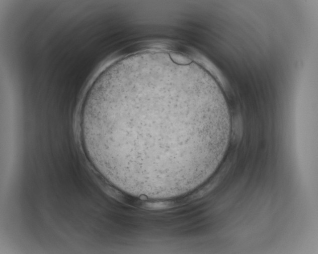 X0000111151435200908111125