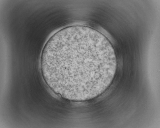 X0000111151436200908111125