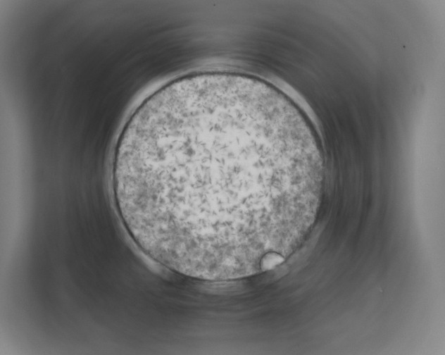 X0000111151437200908111125