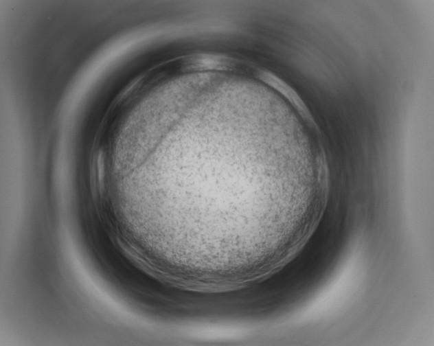 X0000111151439200908111125