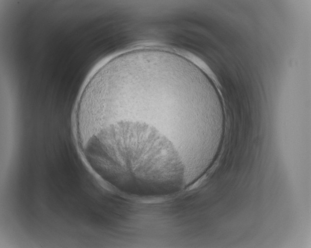 X0000111151440200908111125