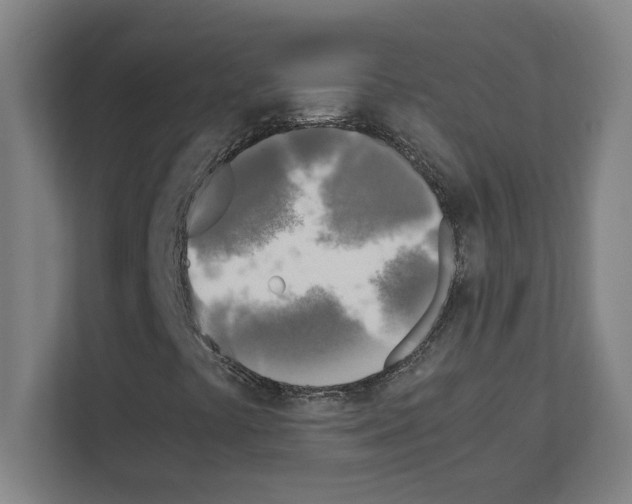 X0000111151441200908111124