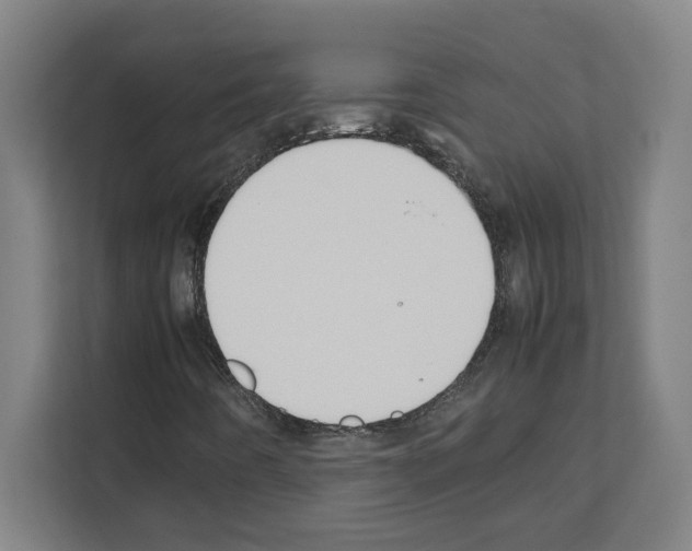 X0000111151442200908111124