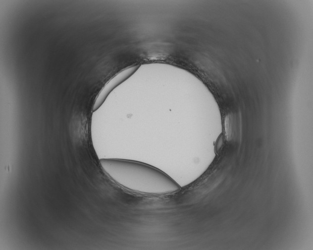 X0000111151443200908111124