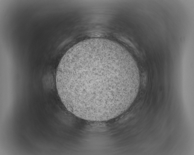 X0000111151446200908111124