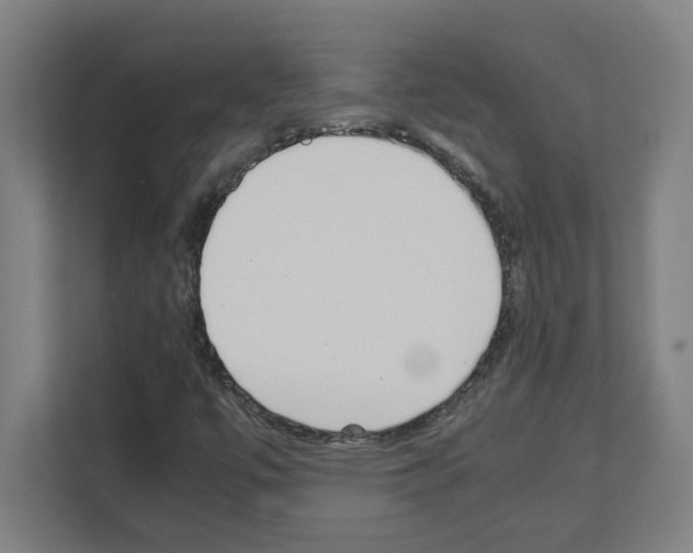 X0000111151447200908111124