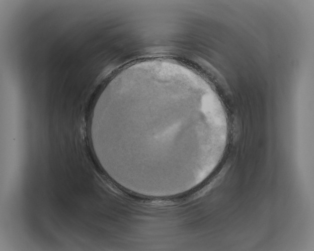 X0000111151449200908111124