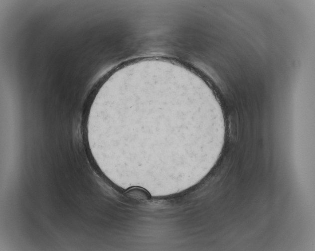 X0000111151452200908111124