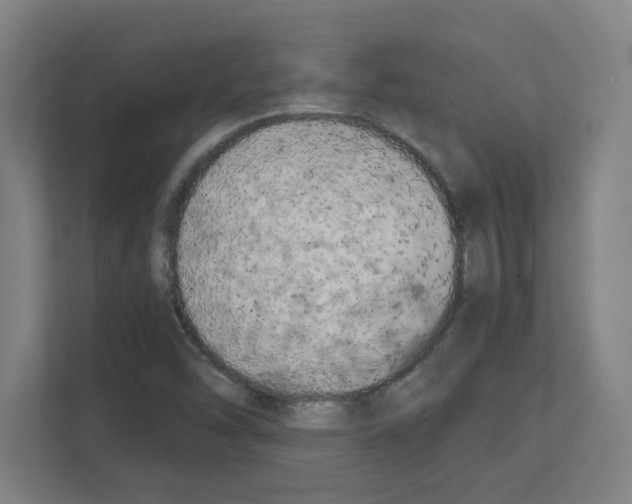 X0000111151454200908111124