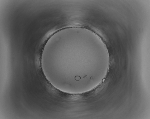 X0000111151455200908111124