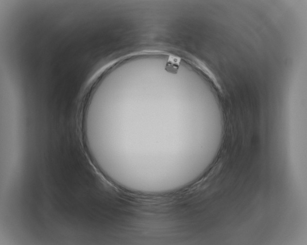 X0000111151456200908111124