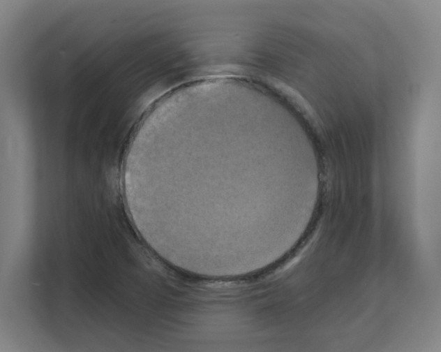 X0000111151457200908111124