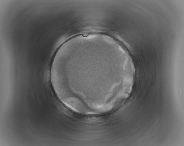 X0000111151459200908111124