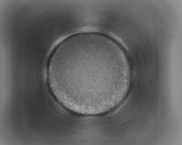 X0000111151461200908111124