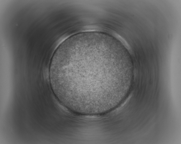 X0000111151465200908111124