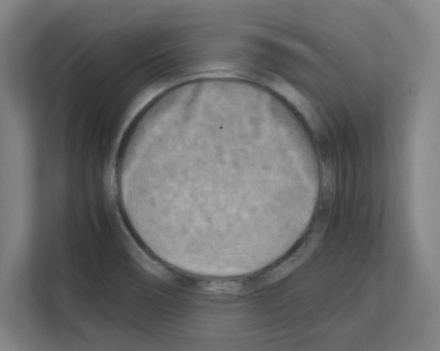 X0000111151466200908111124