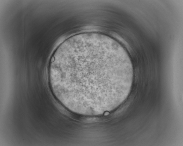 X0000111151467200908111124