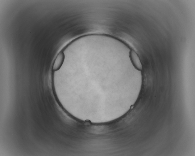 X0000111151468200908111124