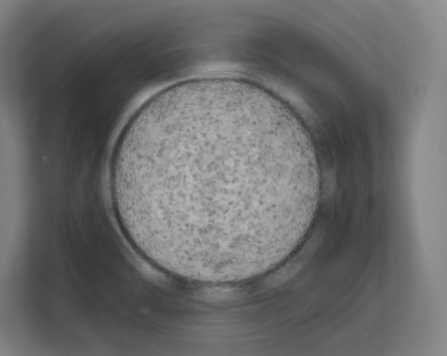 X0000111151470200908111124