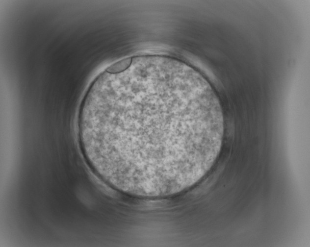 X0000111151471200908111124