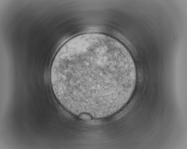 X0000111151473200908111124