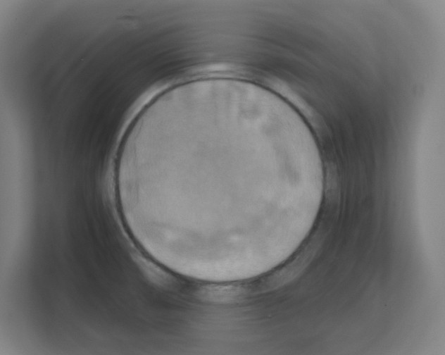 X0000111151474200908111124