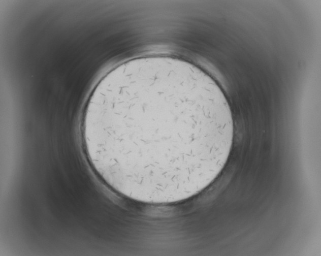 X0000111151475200908111124