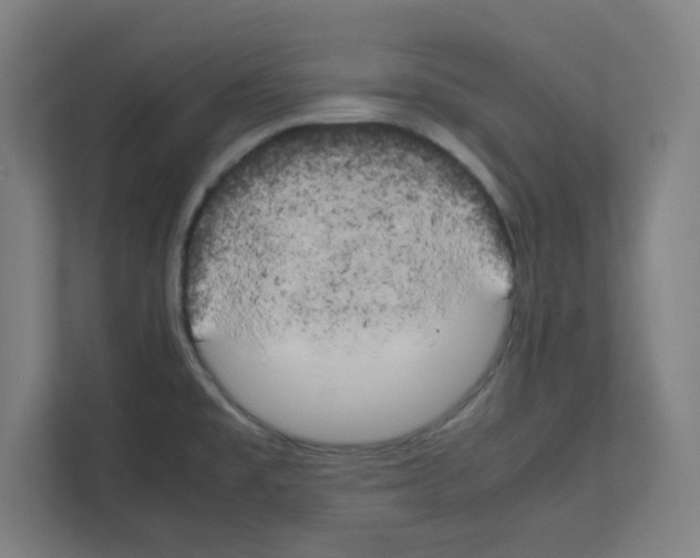 X0000111151477200908111124