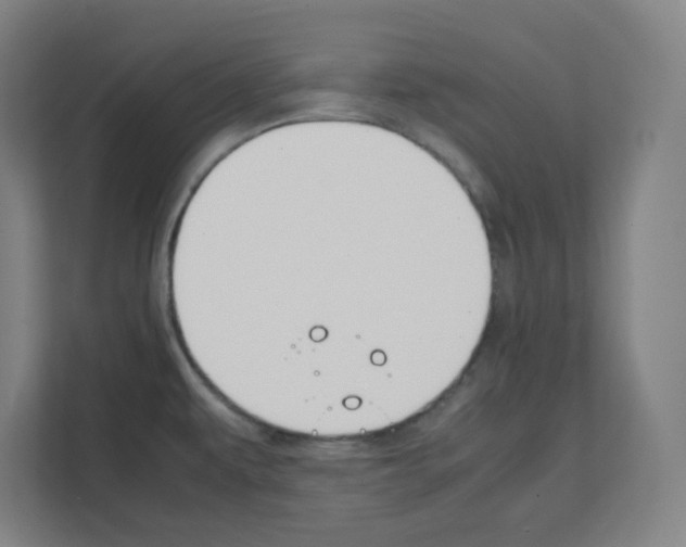 X0000111151479200908111124