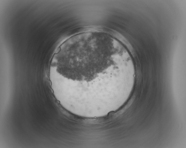 X0000111151481200908111124