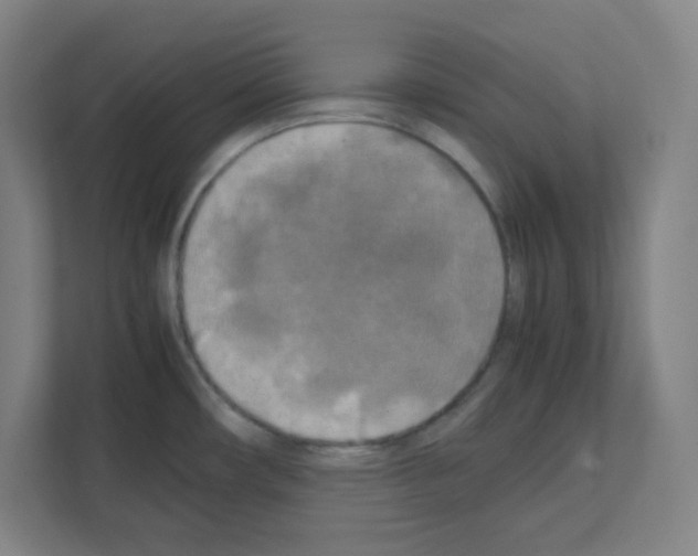 X0000111151482200908111124