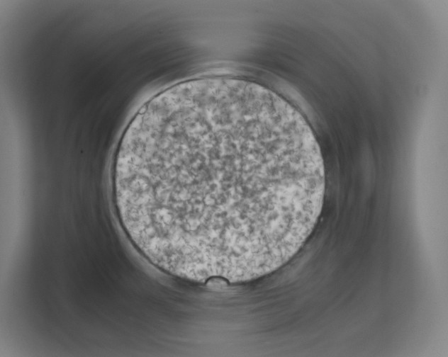 X0000111151483200908111124