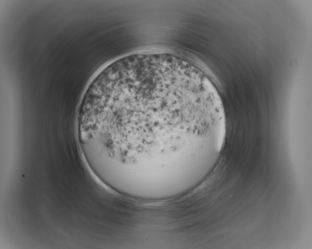 X0000111151484200908111124