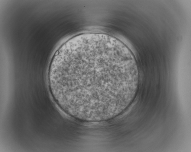 X0000111151485200908111124