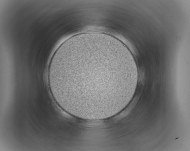 X0000111151486200908111124