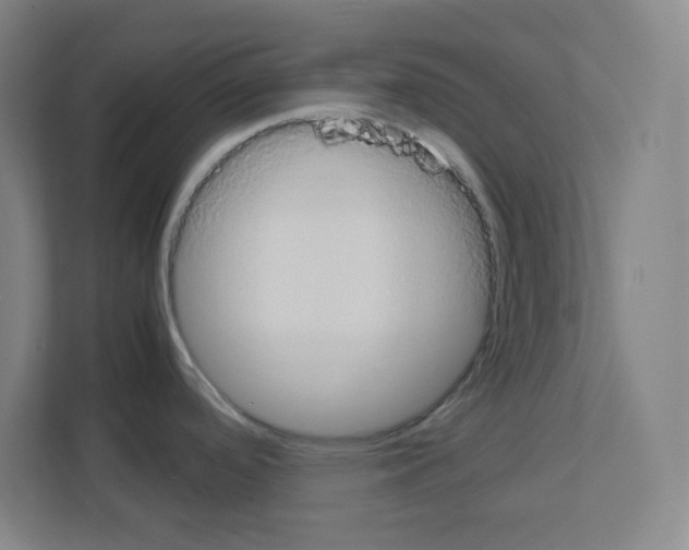 X0000111151488200908111124