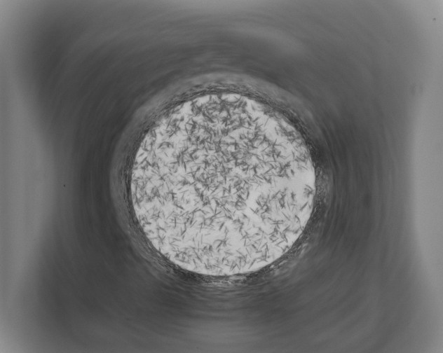 X0000111151489200908111123