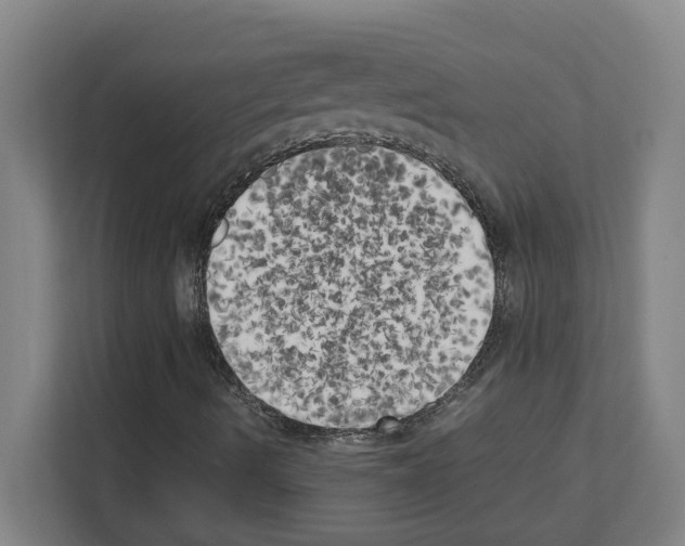 X0000111151490200908111123