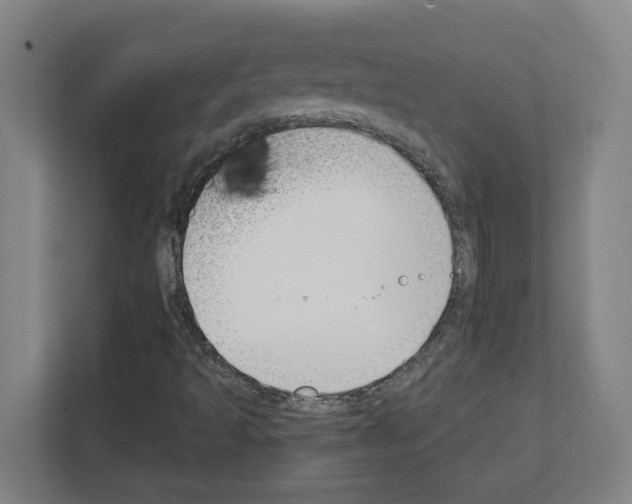 X0000111151493200908111123