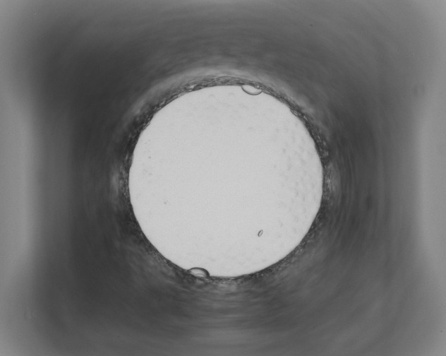 X0000111151495200908111123