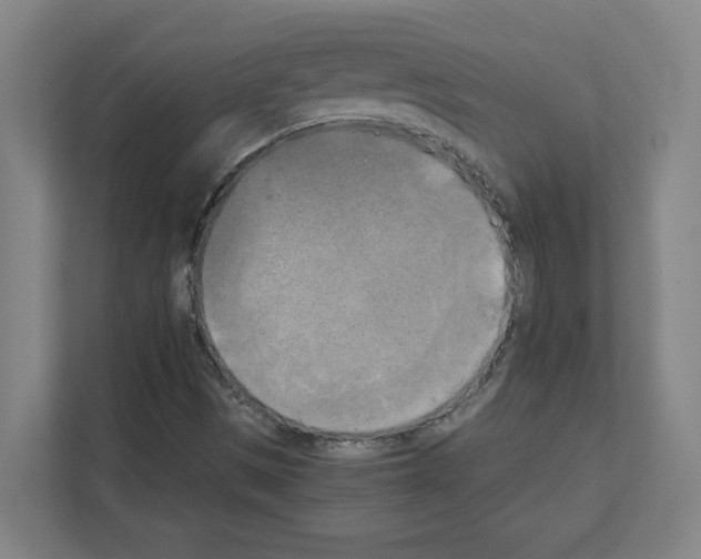 X0000111151497200908111123