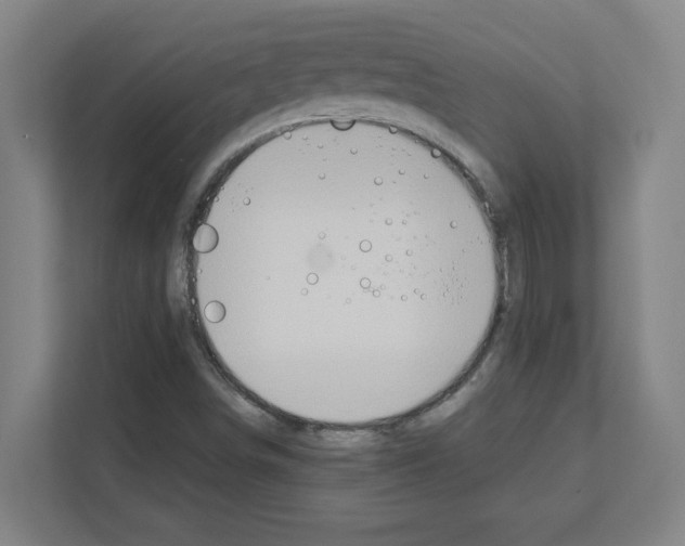 X0000111151498200908111123