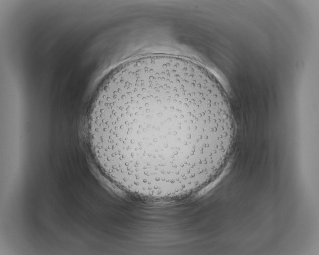 X0000111151499200908111123