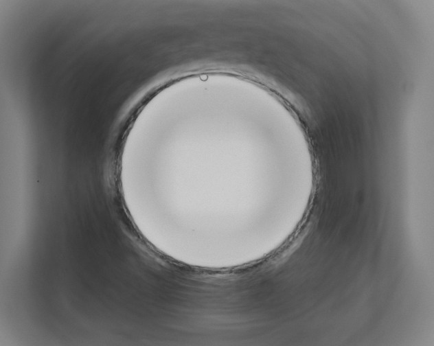 X0000111151502200908111123