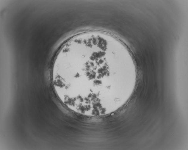 X0000111151503200908111123