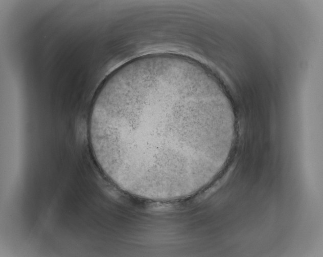 X0000111151505200908111123