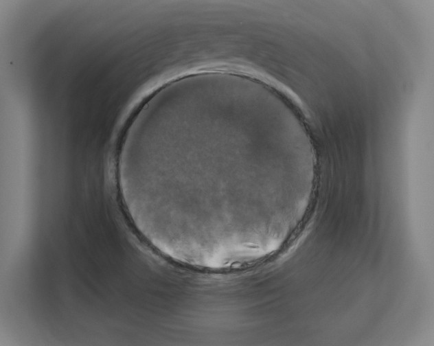 X0000111151506200908111123