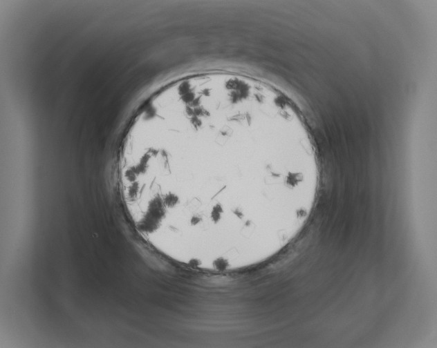 X0000111151507200908111123